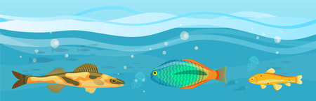 Underwater ocean fauna with fishes, seaweed and shells on sand. Ocean bottom with marine life reprsentatives. Marine underwater world with exotic fishes. Bright tropical fish floating on seabedのイラスト素材