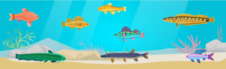 Underwater ocean fauna with exotic fishes. Ocean bottom with marine life reprsentatives. Marine underwater world with school of tropical fish. Seascape, undersea landscape vector illustrationのイラスト素材