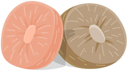 Decorative round pillows cute beautiful two comfort pillows with different soft colors isolated. Modern interior element decorative design of sofa armchair. Contemporary cushion trend fabric styleのイラスト素材