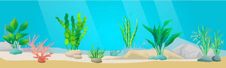 Underwater ocean fauna with seaweed. Ocean bottom with marine life reprsentatives. Underwater world vector illustration. Seafloor, undersea, seabed with marine plants. Green algae on sea floorのイラスト素材