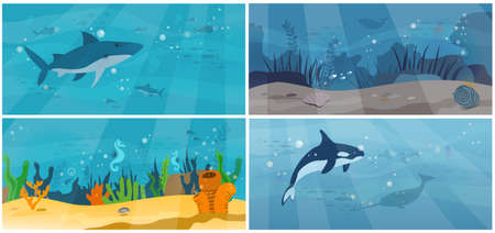 Underwater fauna with fishes, seaweed, whales. Ocean bottom with marine life reprsentatives. Set of illustrations with marine underwater world. Sea, seafloor, undersea with killer whale and sharkのイラスト素材