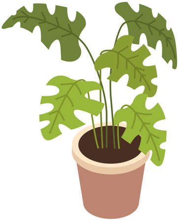 Pot with houseplant isolated at white background. Vector flowerpot of decorative green plant with long leaves in ceramic pot. Indoor plant concept of domestic greenery. Icon for home interior plantのイラスト素材