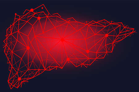 Polygonal human liver made of red lines and dots. Medical research of internal organs, innovative...