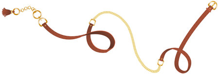 Man and woman leather or lethern belt isolated. Clasp and chain, tassel and metallic ring straps, metal buckle or cuff for male and female clothing trendy accessories. Fashion and uniform, clothのイラスト素材