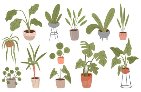 Trendy home decor with plants, cacti, tropical leaves. Potted plants for the interior. Home plants in flowerpot. Pot plant set. Plants plastic decorative container and hanging styling indoor basketのイラスト素材