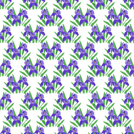 Seamless pattern flowers vector illustration. The botany inspired art piece celebrated intricate details and patterns found in vegetative forms The seamless pattern flowers served as metaphorのイラスト素材