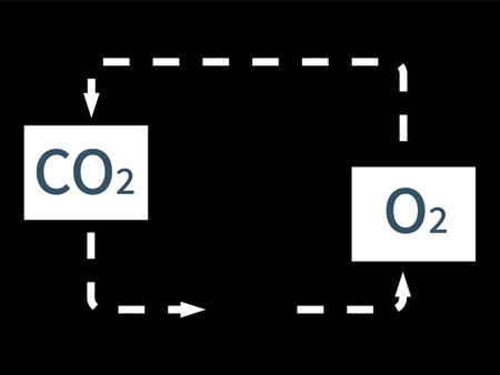 O2 to CO2 carbon dioxide, climate change, black and white icon or symbol for greenhouse concept, air breath material. Global air and environment pollution, chemistry molecules of oxygen gas emissionのイラスト素材