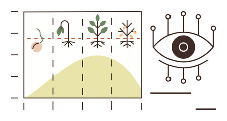 Timeline of seed growth to decline with eye symbol signifying observation, analysis, and monitoring. Ideal for biology, growth stages, analytics, sustainability, development, progress simple flatのイラスト素材