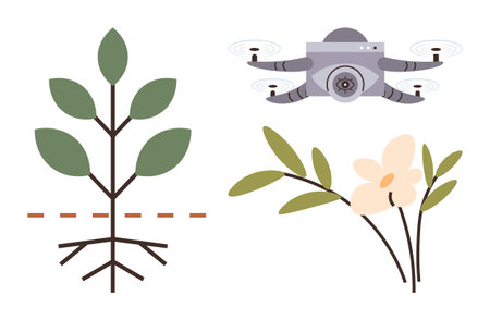 Roots and plant with leaves, a quadcopter, and a blooming flower. Ideal for agriculture, farming, innovation, sustainability, nature technology environmental research. Simple flat metaphorのイラスト素材