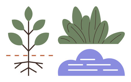 Plant with roots, leafy bush, and abstract cloud in simple flat design. Ideal for ecology, nature, growth, sustainability, environment agriculture and balance concepts. Simple flat metaphorのイラスト素材