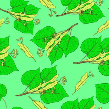 Seamless pattern with linden flowers and leaves. Vector illustrationのイラスト素材