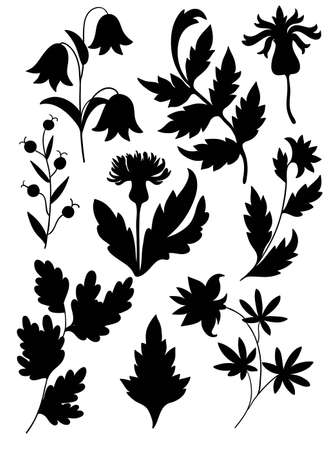 Black shapes of flowers and plants isolated on white background. . Vector illustrationのイラスト素材
