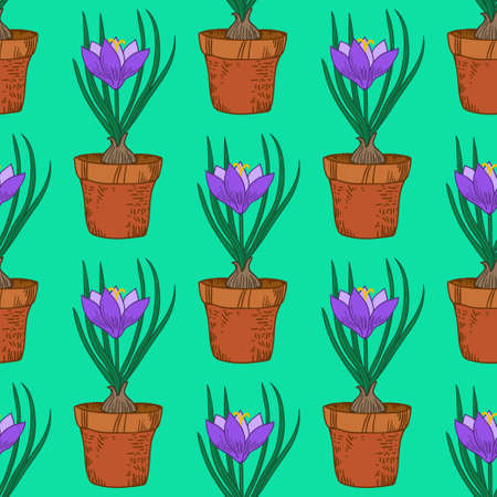 Seamless pattern with crocus in the pot. Vintage vector illustration.のイラスト素材