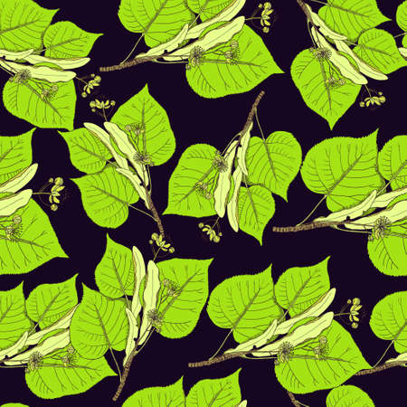 Seamless pattern with linden flowers and leaves. Vector original illustrationのイラスト素材