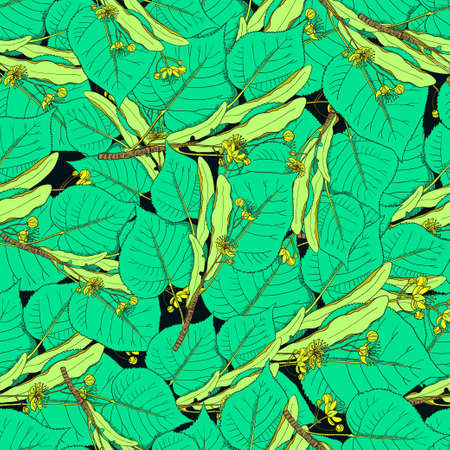 Seamless pattern with linden flowers and leaves. Vector original illustrationの写真素材