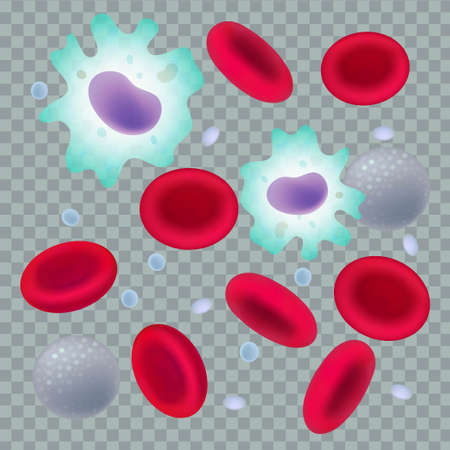 Blood cells collection. Medical vector illustration.のイラスト素材