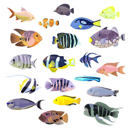 Big set of tropical coral colorful fishes, isolated on white. Vector original illustrationのイラスト素材