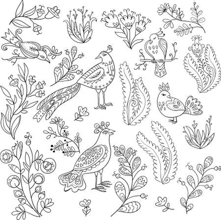 Big set of fairy birds and cute plants and flowers. Vector illustrationのイラスト素材