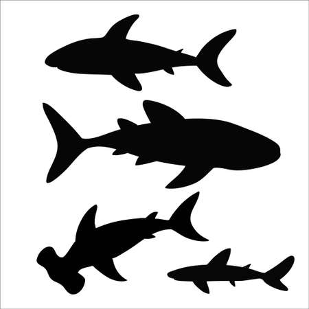 Black sharks silhouettes isolated on white background. Vector original illustration.のイラスト素材