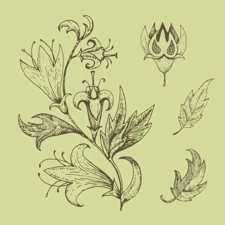 Vintage retro floral elements. Vector original illustrationのイラスト素材