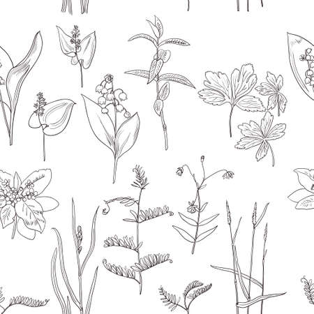 Pattern of vintage original line art forest plants. Vector illustrationのイラスト素材