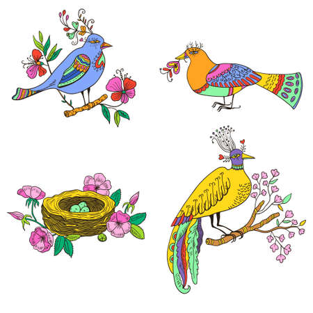 Amazing fairy fantasy birds and nest isolated on white background . Vector illustrationのイラスト素材