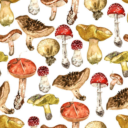 Seamless pattern with forest musrooms. Watercolor realistic illustration. High quality paintingの写真素材
