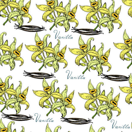 Hand drawn seamless pattern with vanilla flowers. Vector illustrationのイラスト素材