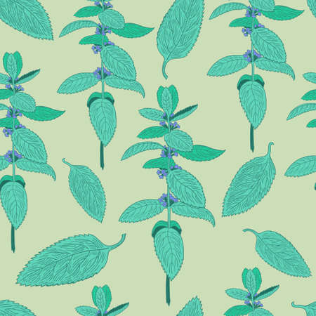 Seamless pattern with mint leaves and plants. Hand drawing. Vector illustrationのイラスト素材