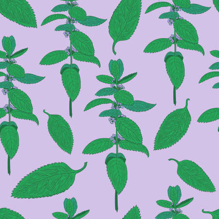 Seamless pattern with mint leaves and plants. Hand drawing. Vector illustrationのイラスト素材