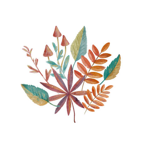 Watercolor autumn composition with leaves, mushrooms and berries. High quality painting.の写真素材