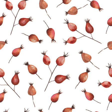 Watercolor painted seamless pattern with rose hip berries. High quality paintingの写真素材