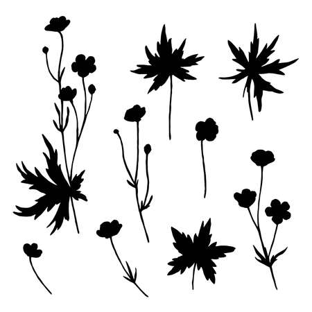 Big set of meadow flowers. Silhouettes of buttercups isolated on white background. Vector illustrationのイラスト素材