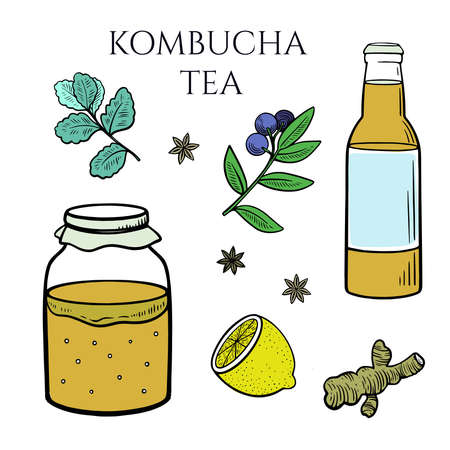 Set of kombucha mushroom in container, bottle with tea drink, ginger, mint, lemon and other spices. Vector illustrationのイラスト素材