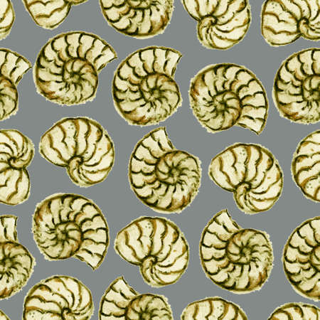 Watercolor seamless pattern with ammonites fossil shells. High quality illustrationの写真素材