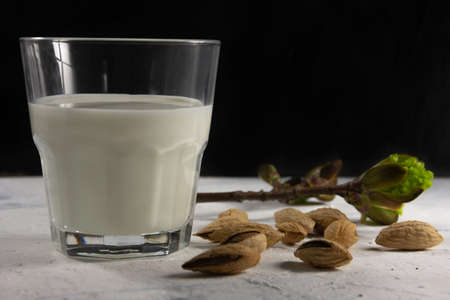 Almond milk in the glass with with almond nuts in a shell. High quality photoの写真素材