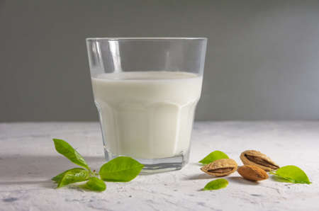 Almond milk in the glass with with almond nuts in a shell. High quality photoの写真素材