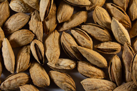 Almond nuts kernels in a shell close-up. High quality photo