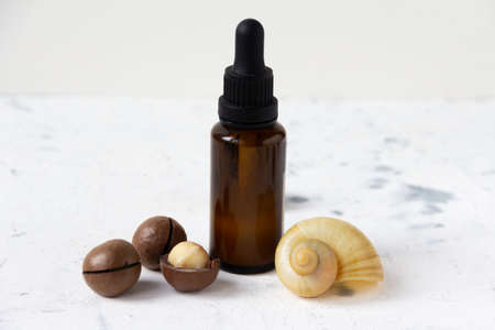 Dark glass dropper cosmetics bottle with macadamia nuts and snail shell on white background. High quality photoの写真素材
