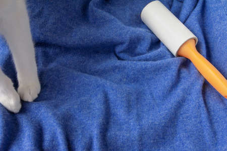 Sticky garment roller on blue cashmere sweater and white cat paws. High quality photoの写真素材