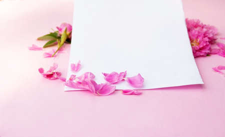 Blank paper card mockup on pink pastel background and delicate pink rose flowers. High quality photo