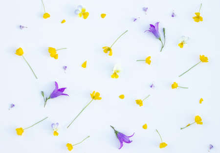 Original layout with yellow buttercup and bellflowers on white background. Flat lay. Top view. High quality photoの写真素材