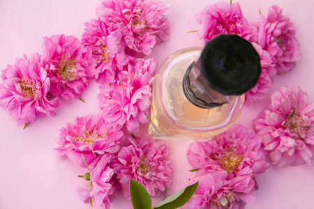 Bottle of perfume on a pastel pink background with bright pink rose flowers. High quality photo