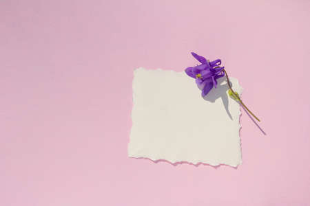 Mockup of a blank sheet of paper with torn edges and flowers on a pastel pink background. High...