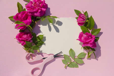 Blank paper card mockup on pink pastel background and purple rose flowers. High quality photoの写真素材