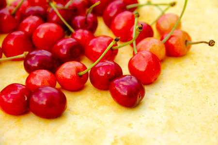 Close up of ripe red cherries on yellow background, horizontal view, selective focus. High quality photoの写真素材
