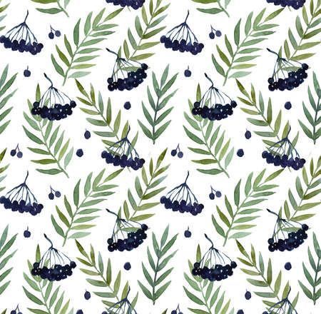 Seamless pattern with watercolor paintied elder branche, berries and leaves for wrapping paper and fabric. High quality painting.の写真素材