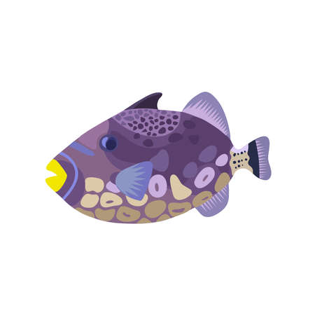Cartoon illustrations of trigger clown fish isolated on white background. Vector illustration