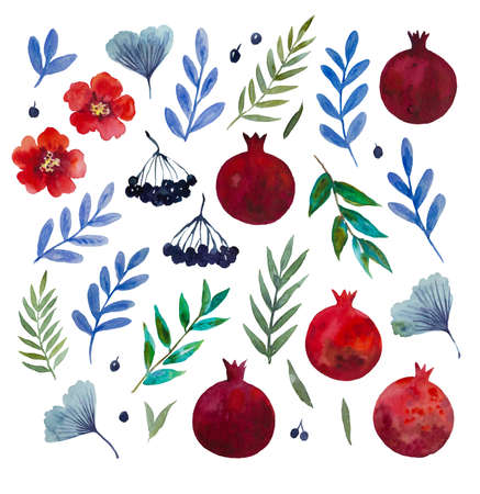 Watercolor design elements of pomegranate, garnet flowers and leaves, elder berries and ginkgo leaves. High quality photoの写真素材