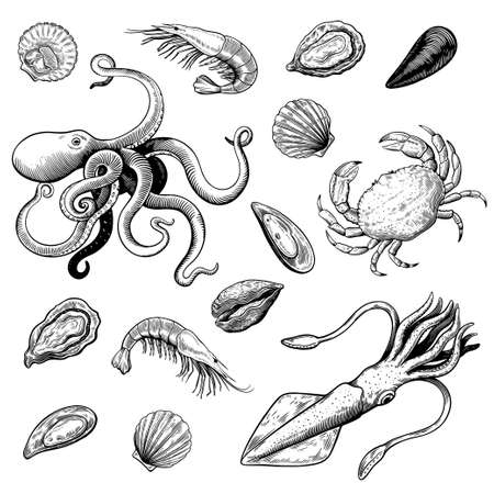 Seafood in hand drawn woodcut style in black and white colors, mollusks, shrimps and crab. Vector illustrationのイラスト素材